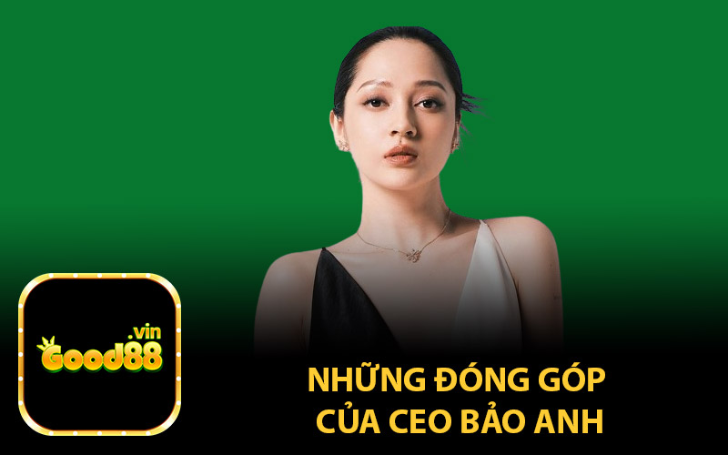 Những Đóng Góp Của CEO Bảo Anh